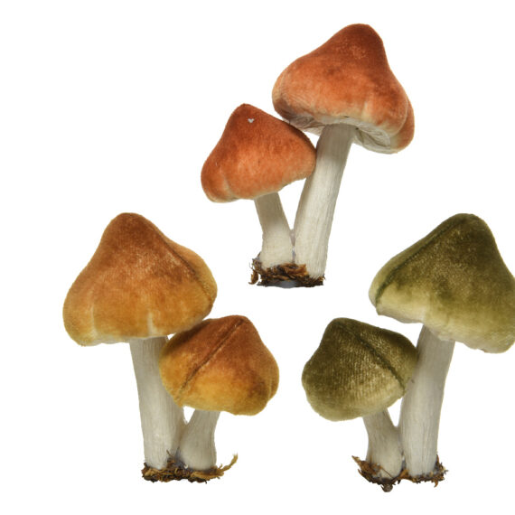 3 μανιτάρια από αφρολέξ, σε γήινα χρώματα με καφετί τόνους, κίτρινο, πορτοκαλί και πράσινο. Κάθε κομμάτι έχει δύο μανιτάρια, ένα μικρό και ένα ψηλότερο.